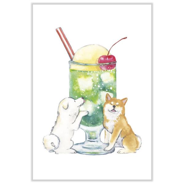 しばいぬとおやつ ポストカード クリームソーダ / 可愛い 柴犬 はがき 村田なつか