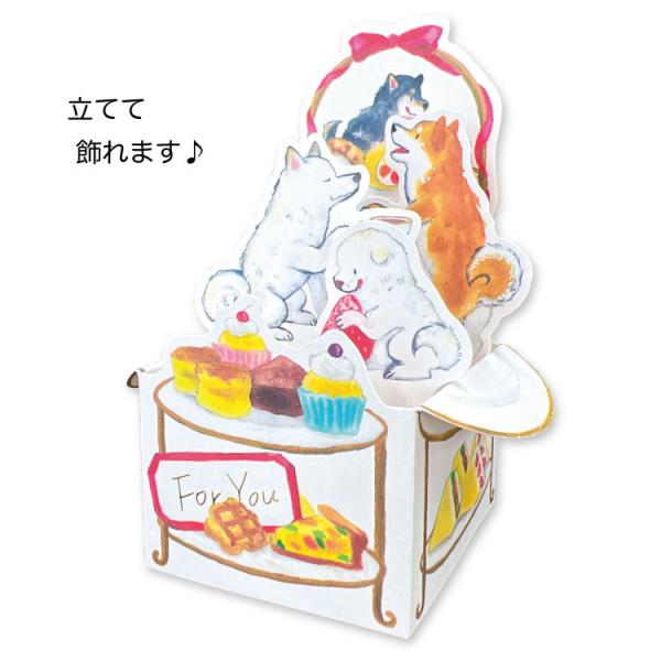しばいぬとおやつ BOXカード 多目的 / For You 柴犬 立てて飾れる グリーティング