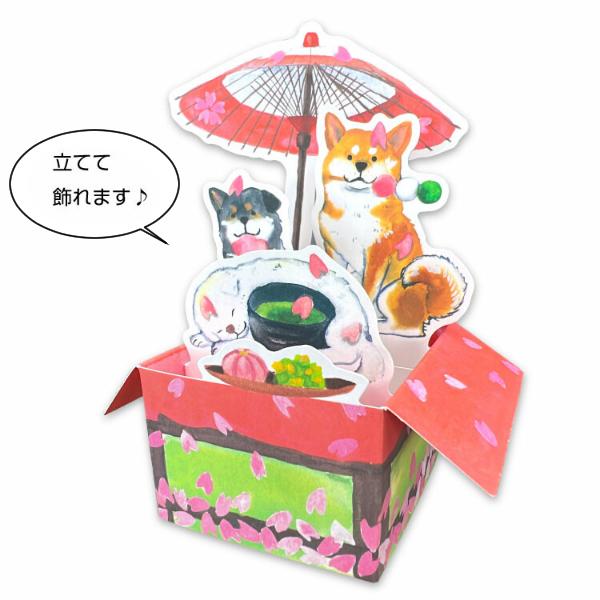 しばいぬと春 BOXカード 野点 / 桜 柴犬 立てて飾れる グリーティング GE-87h