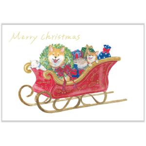 しばいぬとクリスマス ソリ ポストカード / 箔押し 柴犬