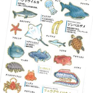 大人の図鑑シール 海洋生物 / 魚 深海 金箔押し加工 カミオジャパン 手帳 デコ