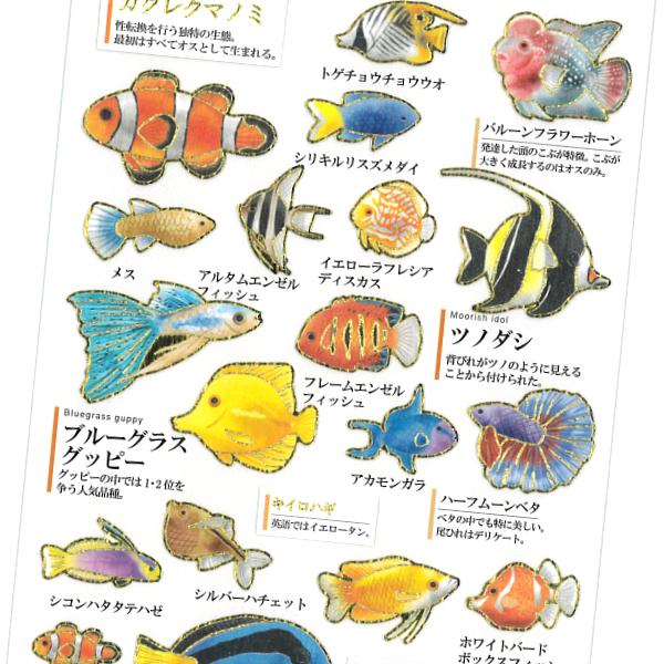 大人の図鑑シール 熱帯魚 / 魚 金箔押し加工 カミオジャパン 手帳 デコ