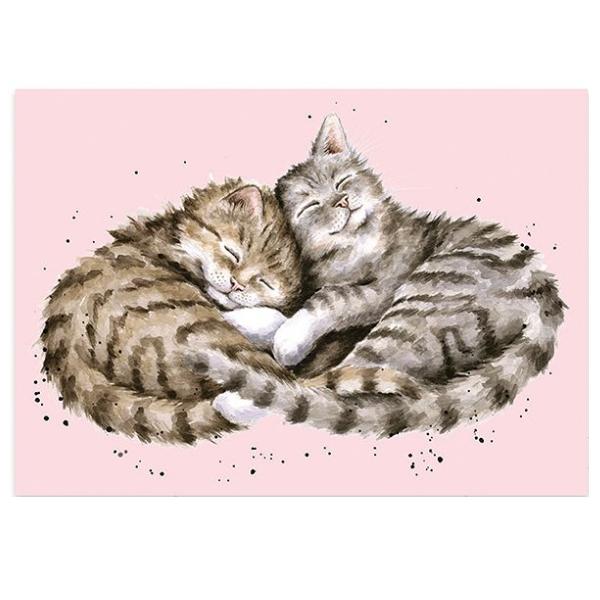 ポストカード Sweet Dreams / 子猫 ネコ グリーティング 英国製 はがき レンデール ...