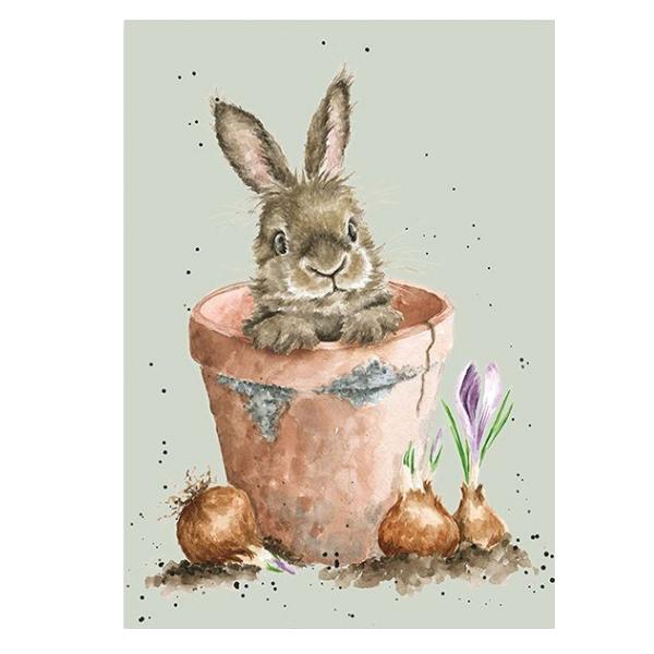 ポストカード The Flower Pot / ウサギ グリーティング 英国製 はがき レンデール ...