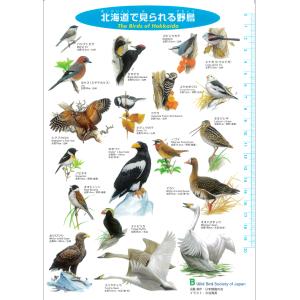 ありしろ雑貨店yahoo 店 日本野鳥の会 メーカー ブランドから探す Yahoo ショッピング