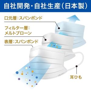 [ROKI] ロキ 纏 まとい 不織布マスク ...の詳細画像1