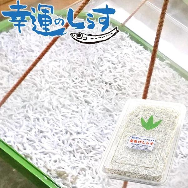 釜あげしらす 釜揚げシラス 新鮮 獲れたて 釜茹で しらす丼 海鮮丼 生産者直送 産地直送