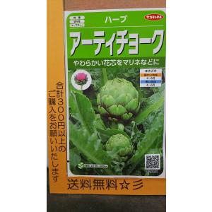アーティ チョーク マリネ アザミ ハーブ 種 送料無料