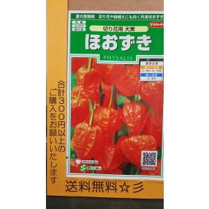 ほおずき 切り花用大実 サカタのタネ 0 5ml 多年草 春まき 秋まき hozuki Hana Uta 米沢園芸 Yahoo 店 通販 Yahoo ショッピング