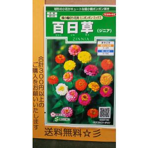 切り花用 種 花の種 の商品一覧 種 種子 花 ガーデニング 通販 Yahoo ショッピング