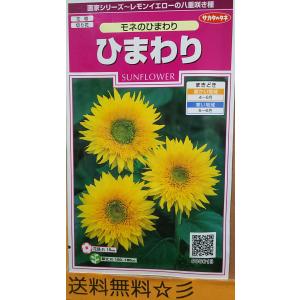 種子 ひまわり モネのひまわり サカタのタネ Hanatane 006 Gardener S Shop Ivy 通販 Yahoo ショッピング
