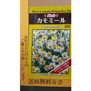 種子 カモミール ジャーマンカモミール トーホクのタネ Herb 007 Gardener S Shop Ivy 通販 Yahoo ショッピング