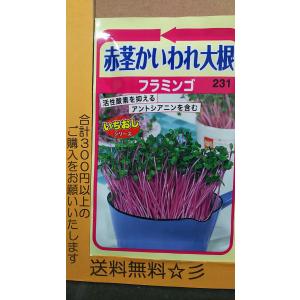 カイワレ大根の種の商品一覧 通販 Yahoo ショッピング