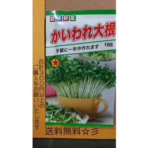 カイワレ大根の種の商品一覧 通販 Yahoo ショッピング
