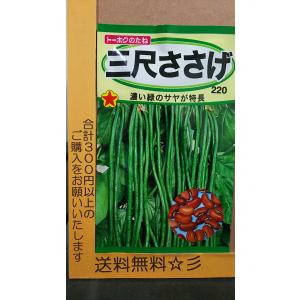 【igesan】鹿児島県産 ささげ豆【令和7年11月収穫】3キロ 三尺 ささげ 種 - 最安値・価格比較 - Yahoo!ショッピング