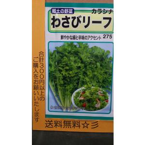 わさびリーフ カラシナ からし菜 種 最安値 価格比較 Yahoo ショッピング 口コミ 評判からも探せる
