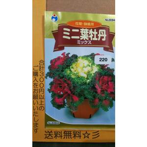 葉牡丹 種の商品一覧 通販 Yahoo ショッピング