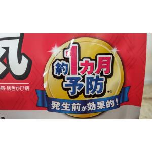 ゆっくり配送 550g ×2袋セット ベニカX...の詳細画像2