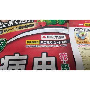 ゆっくり配送 550g ×2袋セット ベニカX...の詳細画像3