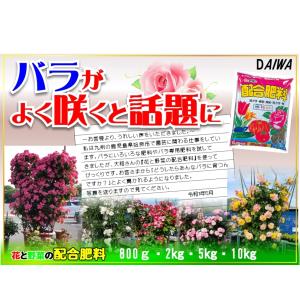 2kg×2袋セット バラが良く咲くと話題 本州・四国・九州は送料無料 大和 配合肥料 合計4kg