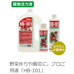 H B-101 500c c 5本で フローラ 天然植物活力液 HB-101 500cc : 買援隊ヤフー店 - 通販