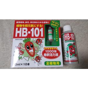 KINCHO園芸 ベニカXファインスプレー 内容量1000ml (1L) 園芸用殺虫