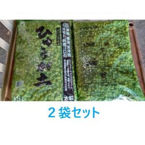 関東〜九州 送料無料 ２袋セット 緑袋 大粒 約18リットル 在庫調整ワケアリ価格 日向土　ひゅうが土｜aridafarm