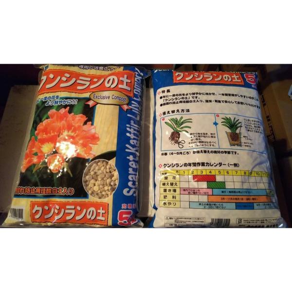 関東〜九州 送料無料 ２袋セット 充墳時５リットル クンシランの土