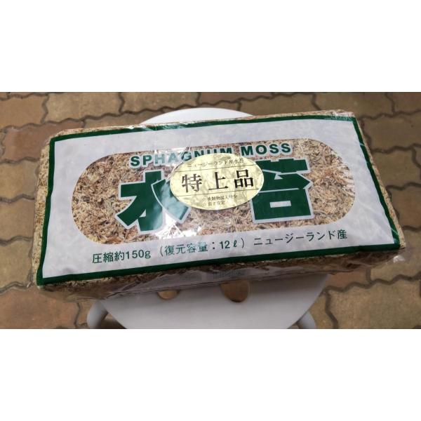 水苔 約150g 特上品 5Aランク ニュージーランド産 送料無料 ミズゴケ