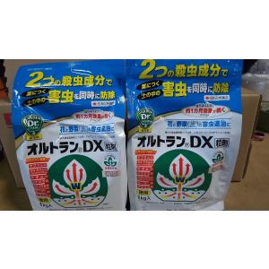 1kg ×２袋セット オルトランDX粒剤 住友 送料無料 オルトラン dx 在庫調整 アウトレット 有効期限１年以上