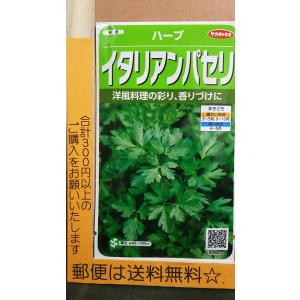 きのくに種苗店 ハーブの種 Yahoo ショッピング