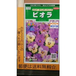 ビオラ ラベンダー マジック  種 郵便は