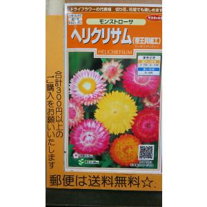 ヘリクリサム貝細工 花の種 の商品一覧 種 種子 花 ガーデニング 通販 Yahoo ショッピング