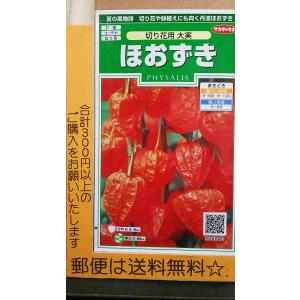 切り花用 種 花の種 の商品一覧 種 種子 花 ガーデニング 通販 Yahoo ショッピング