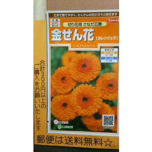 切り花用 種 花の種 の商品一覧 種 種子 花 ガーデニング 通販 Yahoo ショッピング