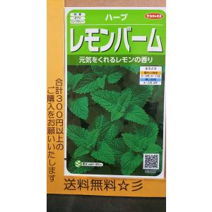 ハーブの種 レモンバーム サカタのタネ 0 9ml 多年草 春まき 秋まき lemonbalm Hana Uta 米沢園芸 Yahoo 店 通販 Yahoo ショッピング