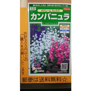 カンパニュラのランキングtop100 人気売れ筋ランキング Yahoo ショッピング