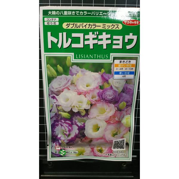 ３袋以上でクーポン割引 トルコギキョウ ダブル バイカラー トルコ キキョウ 桔梗 種 郵便は送料無...
