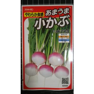 ３袋以上でクーポン割引 あまうま 小 かぶ あやめ雪 小かぶ コカブ 種 郵便は送料無料
