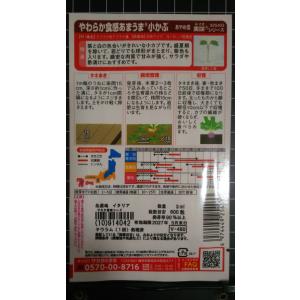 3袋以上でクーポン割引 あまうま 小 かぶ あ...の詳細画像1
