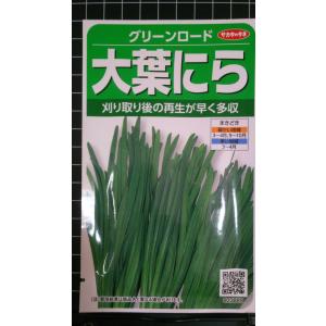 ３袋以上でクーポン割引 大葉 にら ニラ グリーンロード 種 郵便は送料無料
