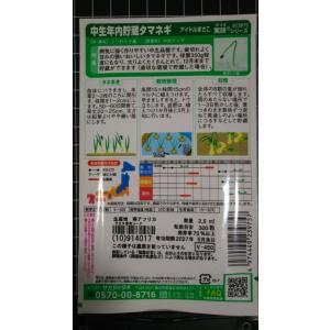 3袋以上でクーポン割引 中生 タマネギ まさこ...の詳細画像1