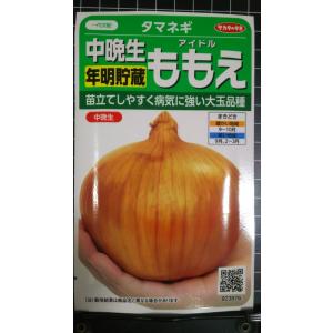 ３袋以上でクーポン割引 中晩生 タマネギ ももえ 年明貯蔵 玉ねぎ 種 郵便は送料無料