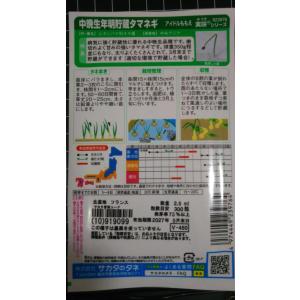 3袋以上でクーポン割引 中晩生 タマネギ もも...の詳細画像1