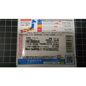 3袋以上でクーポン割引 中晩生 タマネギ もも...の詳細画像2