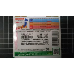 3袋以上でクーポン割引 ルリタマアザミ 種 郵...の詳細画像2