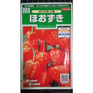 ３袋以上でクーポン割引 ほおずき ホウズキ 切り花用 大実 種 郵便は送料無料