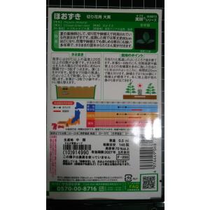 3袋以上でクーポン割引 ほおずき ホウズキ 切...の詳細画像1