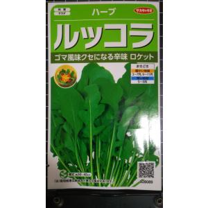 ３袋以上でクーポン割引 ルッコラ ロケット ゴマ 風味 ハーブ 種 郵便は送料無料