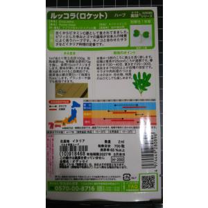 3袋以上でクーポン割引 ルッコラ ロケット ゴ...の詳細画像1